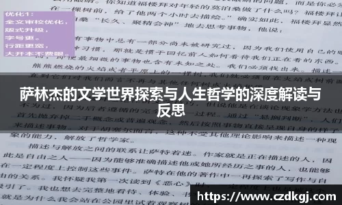 bsports官网入口