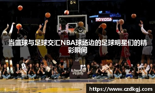 bsports官网